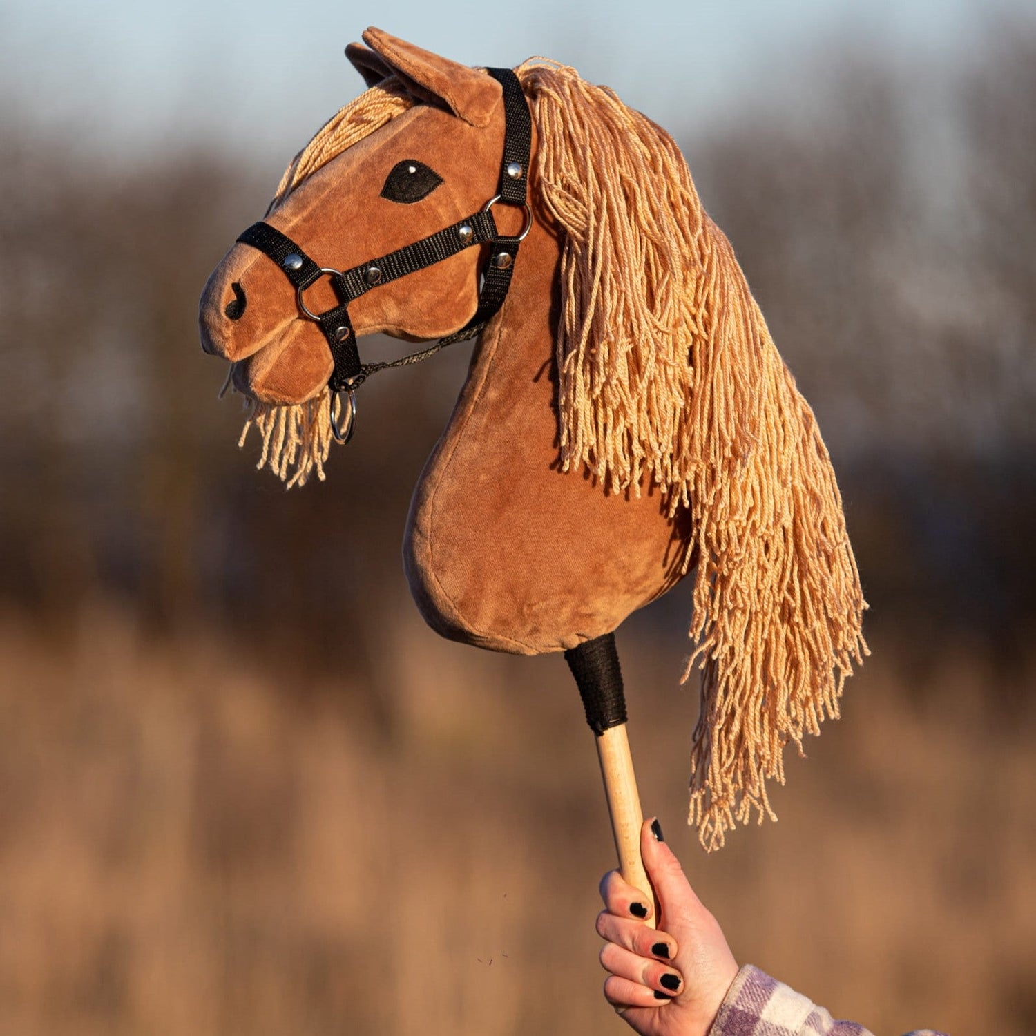 Classic Hobby Horses
