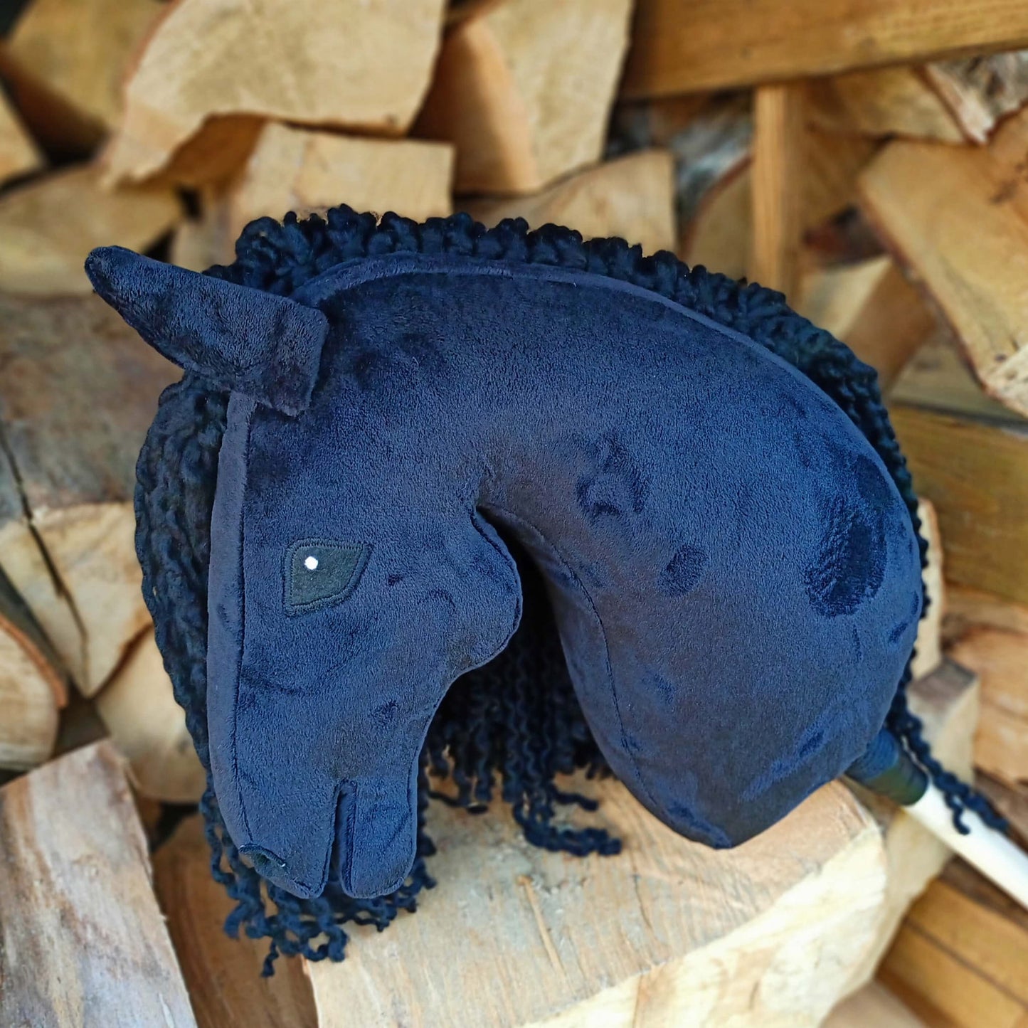 Steckenpferd Aurora