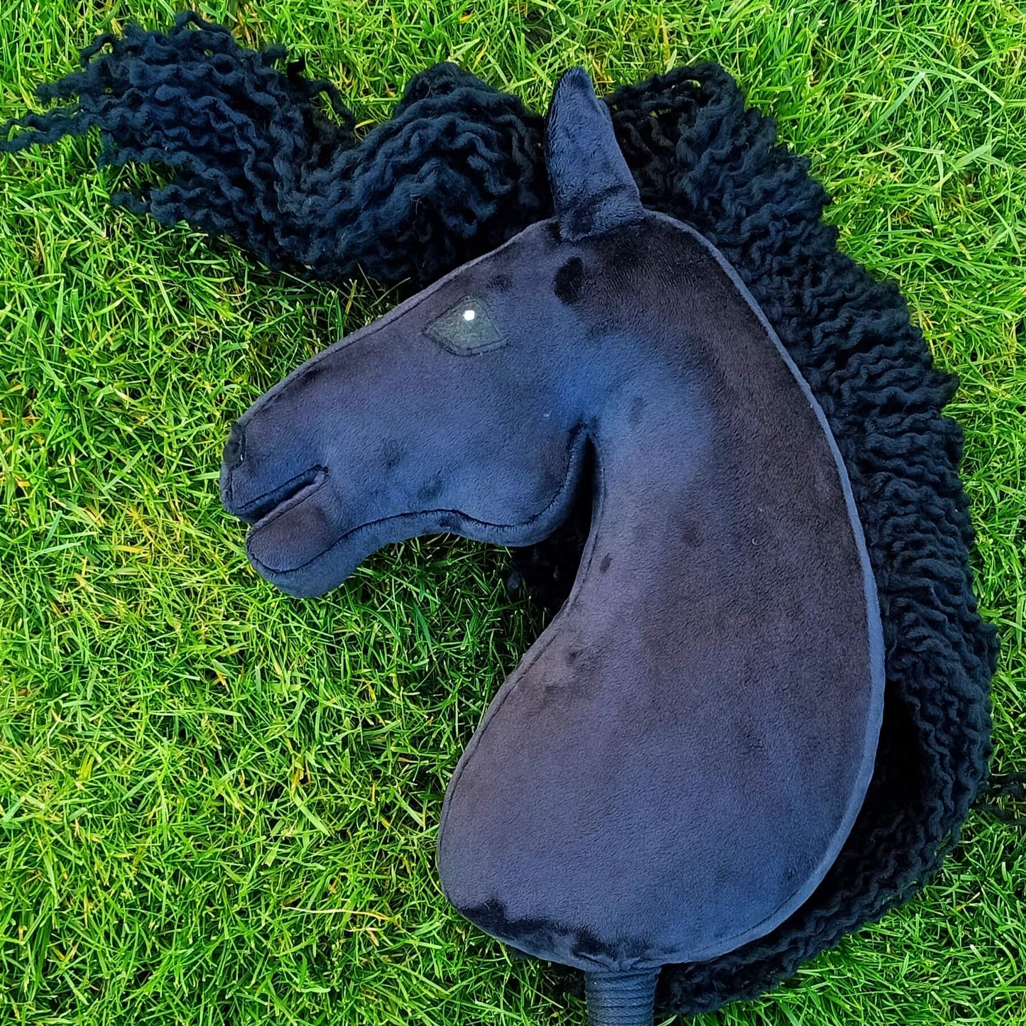 Steckenpferd Aurora